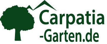 logo-de.png